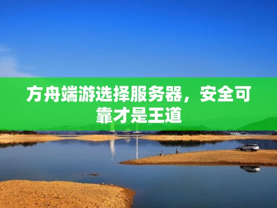 方舟端游选择服务器，安全可靠才是王道