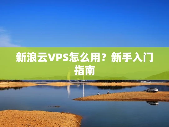 新浪云VPS怎么用？新手入门指南