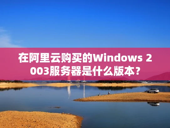 在阿里云购买的Windows 2003服务器是什么版本？