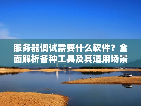 服务器调试需要什么软件？全面解析各种工具及其适用场景