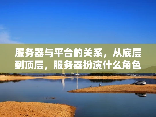 服务器与平台的关系，从底层到顶层，服务器扮演什么角色？