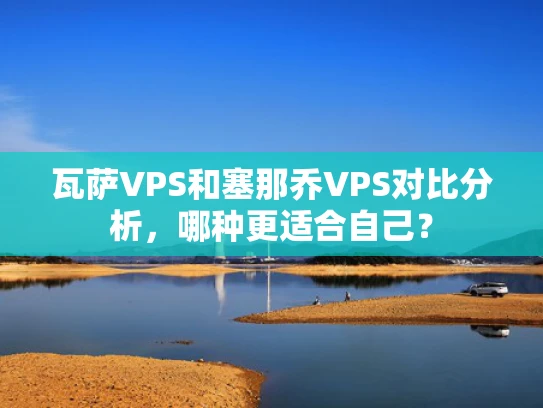 瓦萨VPS和塞那乔VPS对比分析，哪种更适合自己？