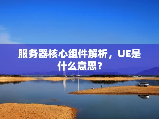 服务器核心组件解析，UE是什么意思？