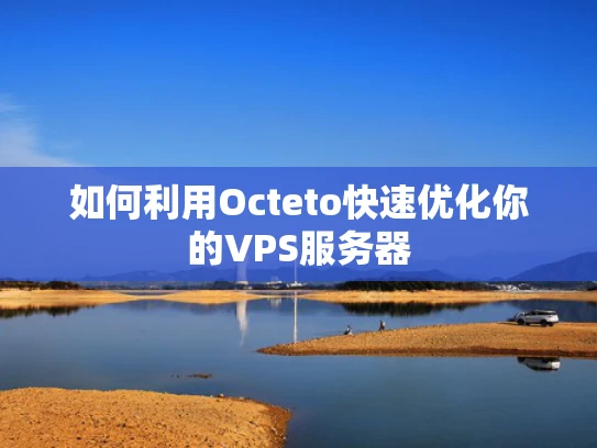 如何利用Octeto快速优化你的VPS服务器