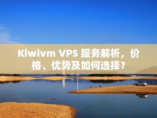 Kiwivm VPS 服务解析，价格、优势及如何选择？