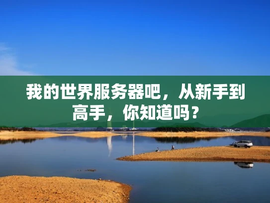 我的世界服务器吧，从新手到高手，你知道吗？