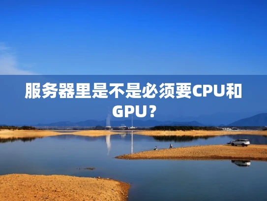 服务器里是不是必须要CPU和GPU？