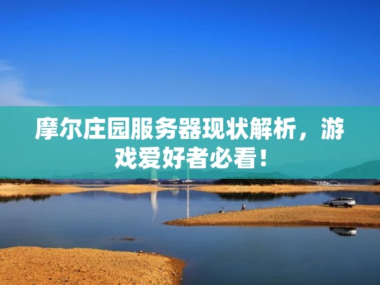 摩尔庄园服务器现状解析，游戏爱好者必看！
