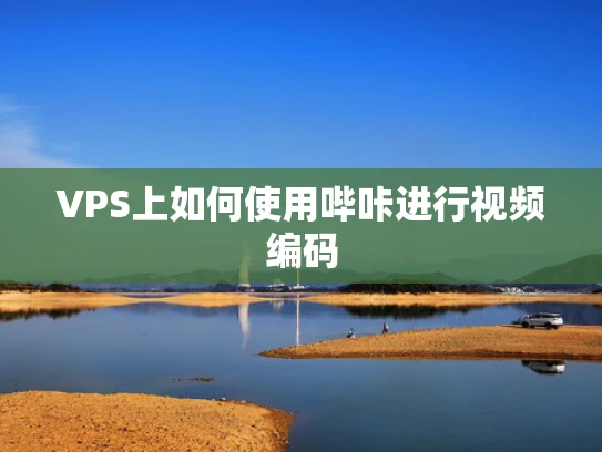 VPS上如何使用哔咔进行视频编码