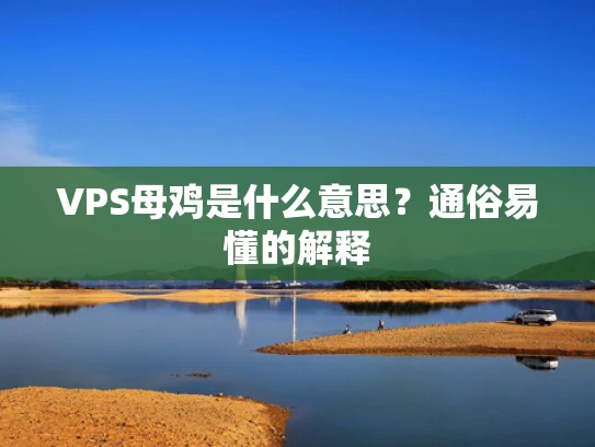 VPS母鸡是什么意思？通俗易懂的解释