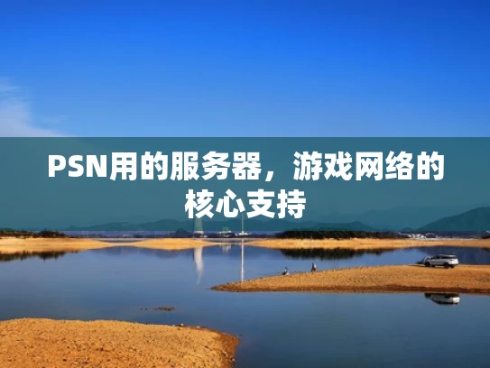 PSN用的服务器，游戏网络的核心支持