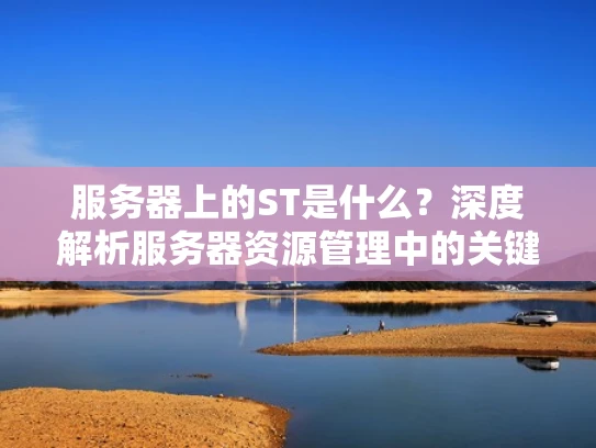 服务器上的ST是什么？深度解析服务器资源管理中的关键概念