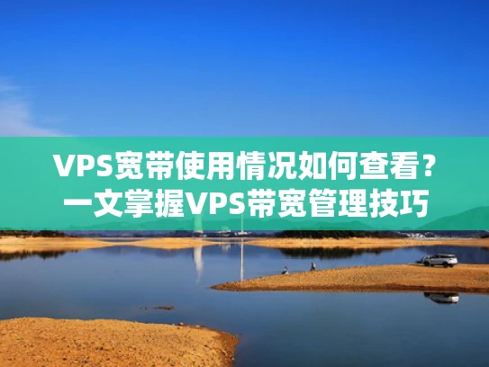 VPS宽带使用情况如何查看？一文掌握VPS带宽管理技巧