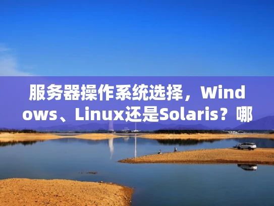 服务器操作系统选择，Windows、Linux还是Solaris？哪个更快？