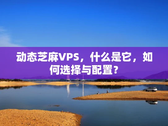 动态芝麻VPS，什么是它，如何选择与配置？