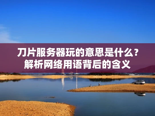 刀片服务器玩的意思是什么？解析网络用语背后的含义
