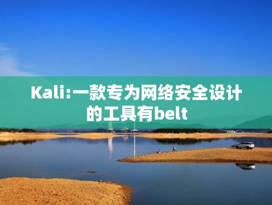 Kali:一款专为网络安全设计的工具有belt