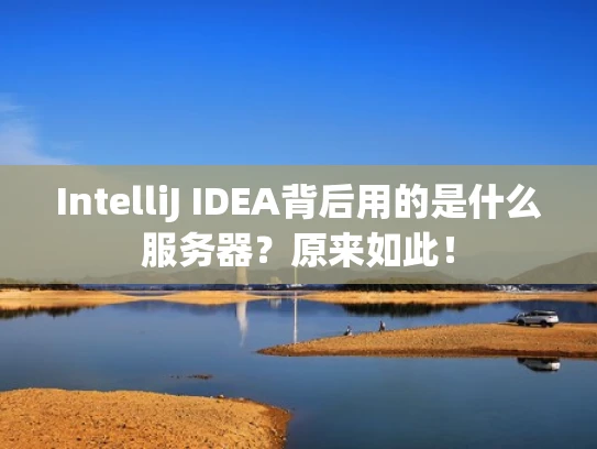 IntelliJ IDEA背后用的是什么服务器？原来如此！