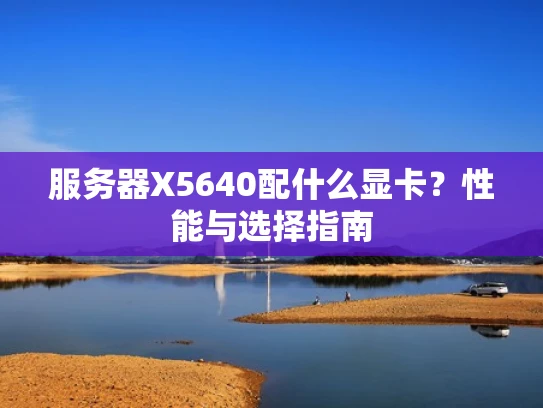 服务器X5640配什么显卡？性能与选择指南