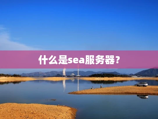 什么是sea服务器？