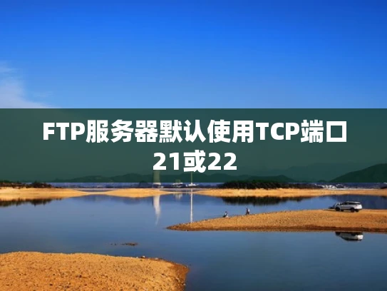FTP服务器默认使用TCP端口21或22
