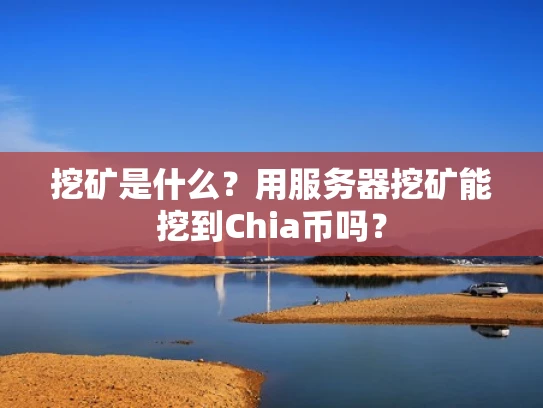 挖矿是什么？用服务器挖矿能挖到Chia币吗？