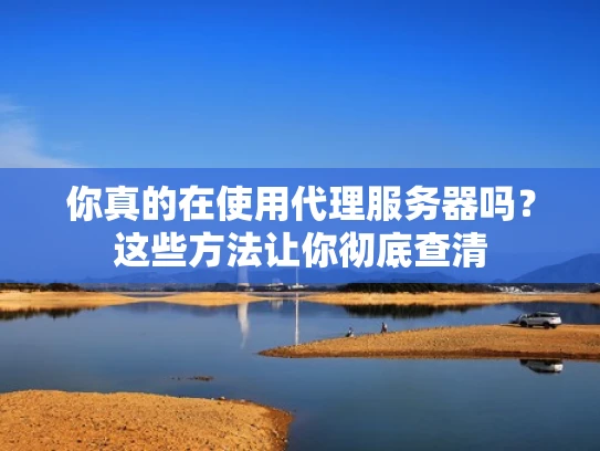 你真的在使用代理服务器吗？这些方法让你彻底查清