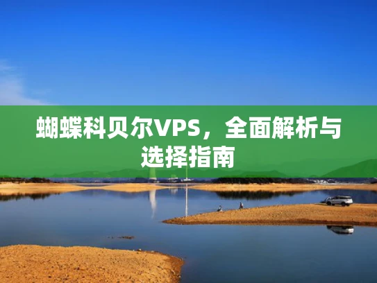 蝴蝶科贝尔VPS，全面解析与选择指南