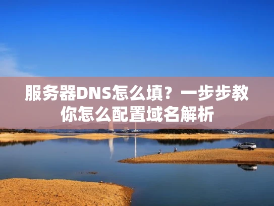 服务器DNS怎么填？一步步教你怎么配置域名解析