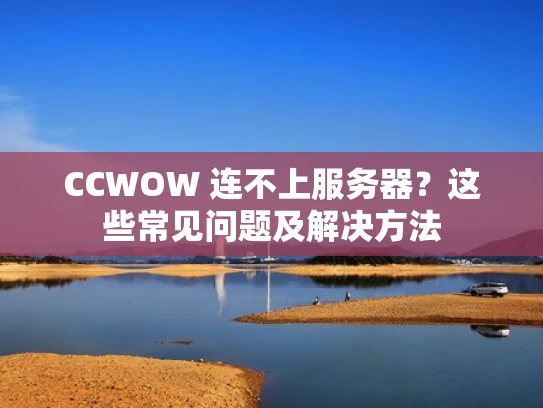 CCWOW 连不上服务器？这些常见问题及解决方法