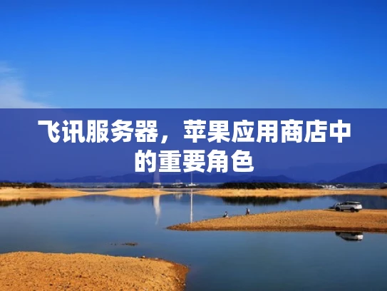 飞讯服务器，苹果应用商店中的重要角色
