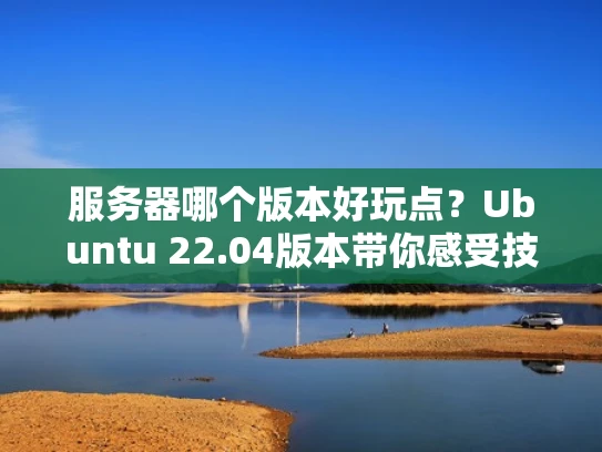 服务器哪个版本好玩点？Ubuntu 22.04版本带你感受技术魅力