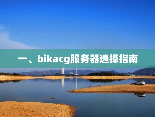 一、bikacg服务器选择指南