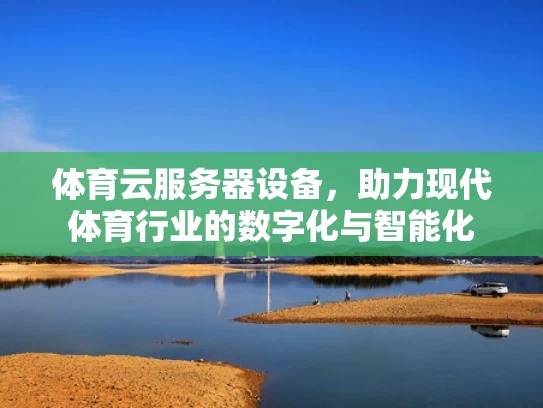 体育云服务器设备，助力现代体育行业的数字化与智能化