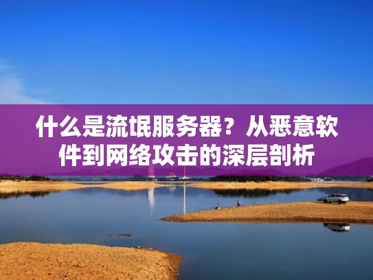 什么是流氓服务器？从恶意软件到网络攻击的深层剖析