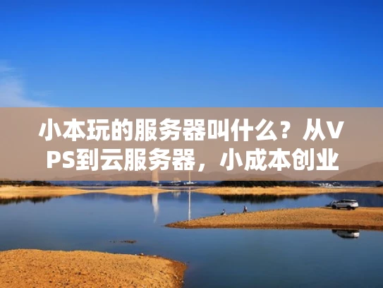 小本玩的服务器叫什么？从VPS到云服务器，小成本创业的必备知识