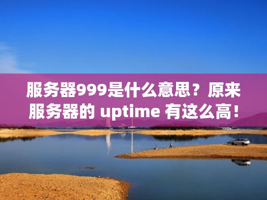服务器999是什么意思？原来服务器的 uptime 有这么高！
