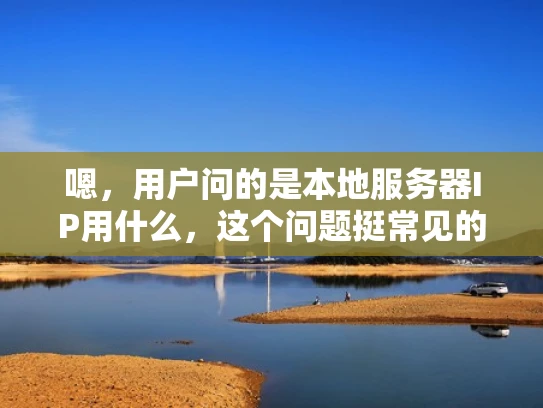 嗯，用户问的是本地服务器IP用什么，这个问题挺常见的。首先，我得确定用户的具体需求是什么。他们可能在设置本地服务器，或者在进行网络配置，或者是想隐藏IP地址。我得考虑不同的情况，给出合适的建议