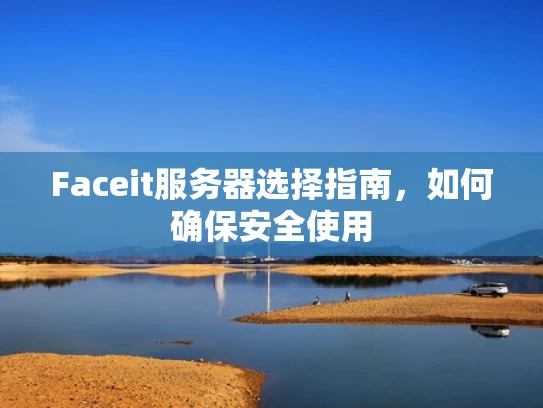 Faceit服务器选择指南，如何确保安全使用