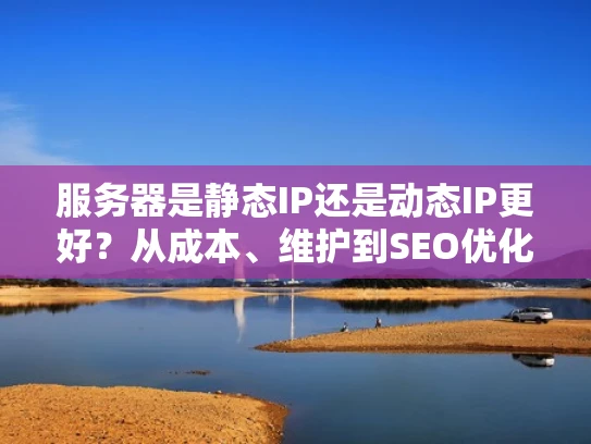 服务器是静态IP还是动态IP更好？从成本、维护到SEO优化全解析