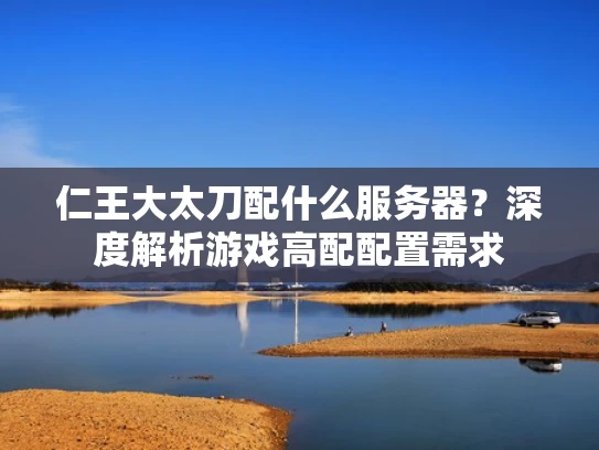 仁王大太刀配什么服务器？深度解析游戏高配配置需求