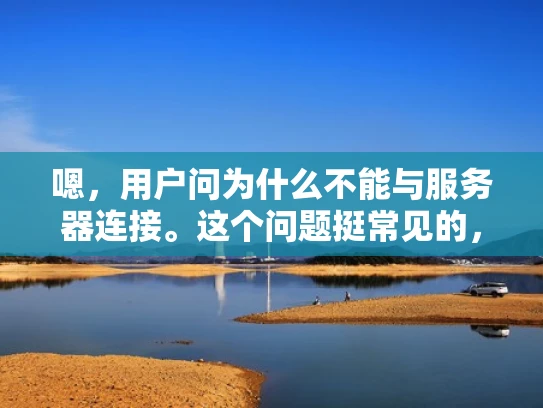 嗯，用户问为什么不能与服务器连接。这个问题挺常见的，可能用户在尝试访问服务器或者网站时遇到了连接问题。我需要先理解用户的具体情况，但作为网络专家，我应该提供一个全面的解答，涵盖各种可能的原因