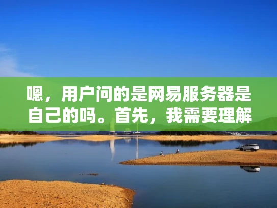 嗯，用户问的是网易服务器是自己的吗。首先，我需要理解用户的问题。他可能是一个刚开始接触互联网服务的用户，对服务器所有权不太清楚，所以想了解网易作为一家大公司，他们的服务器是否属于他们自己