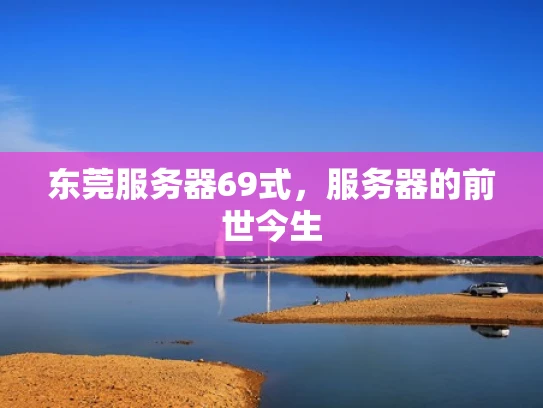 东莞服务器69式，服务器的前世今生