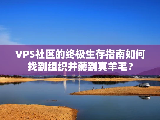 VPS社区的终极生存指南如何找到组织并薅到真羊毛？