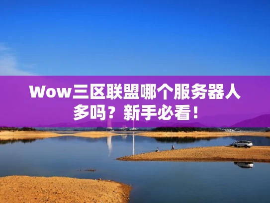Wow三区联盟哪个服务器人多吗？新手必看！
