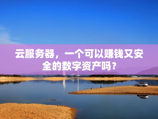 云服务器，一个可以赚钱又安全的数字资产吗？