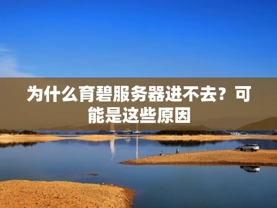 为什么育碧服务器进不去？可能是这些原因