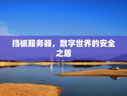 挡板服务器，数字世界的安全之盾