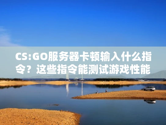 CS:GO服务器卡顿输入什么指令？这些指令能测试游戏性能并影响服务器负载